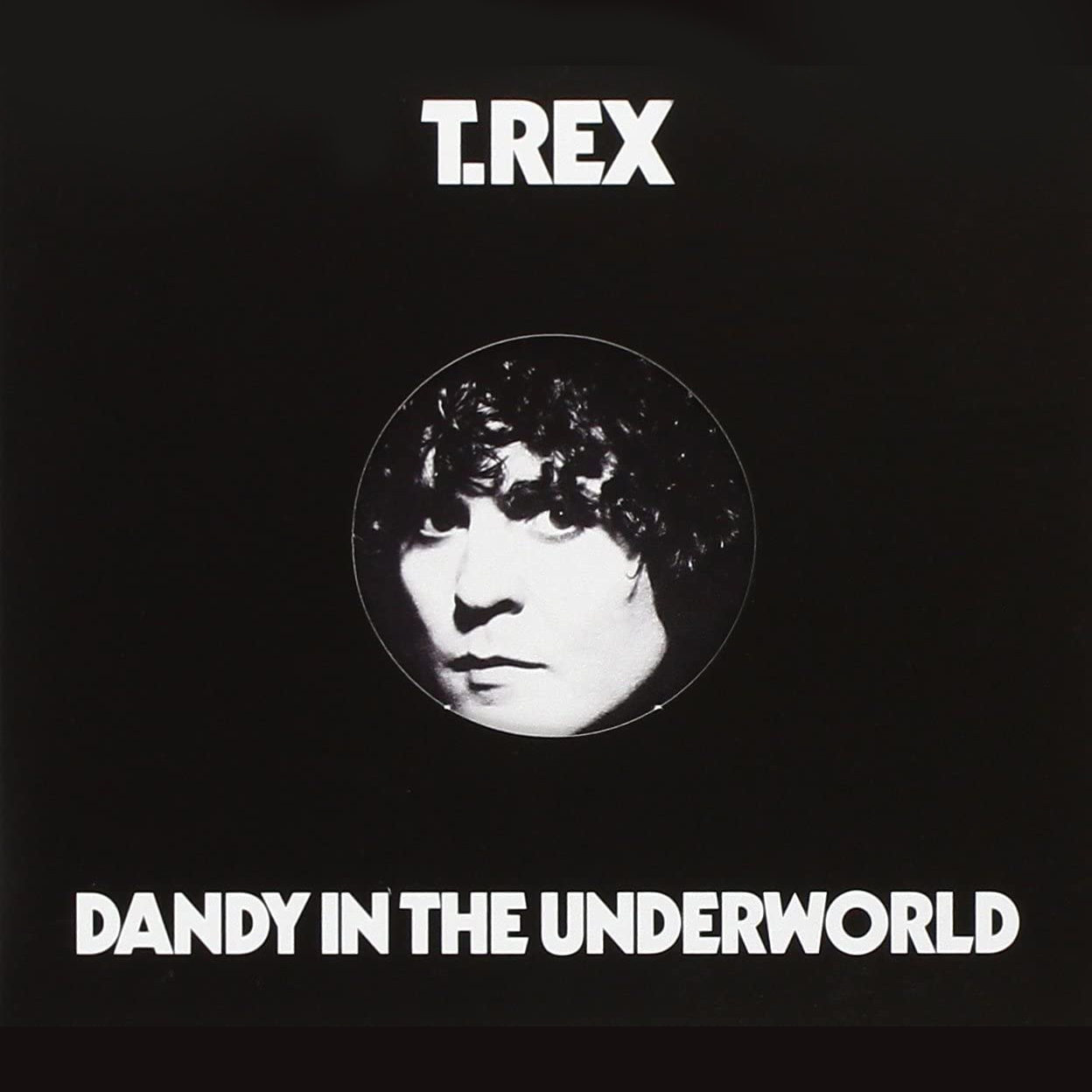 T.REX『Dandy In The Underworld』